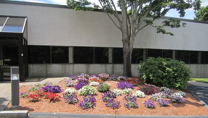 Commercial Landscape Installations