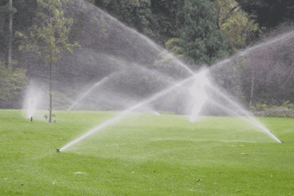 Choosing the Right Irrigation System for Your Landscape: A Guide by McLeod Landscaping