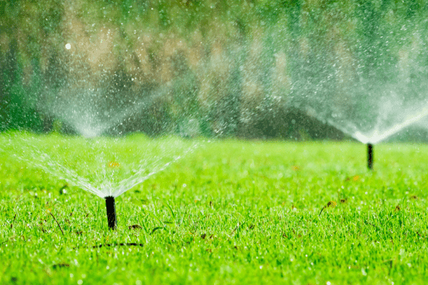 The Importance of Proper Irrigation: Tips for Efficient Watering