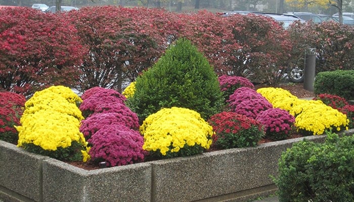 Commercial Landscaping Chelmsford MA